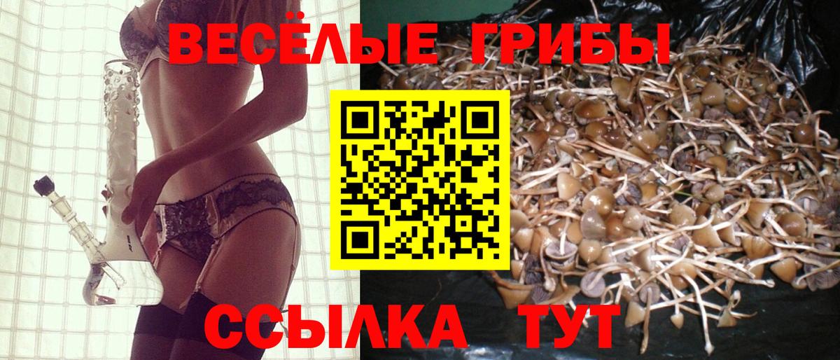 Галлюциногенные грибы прущие грибы Урус-Мартан