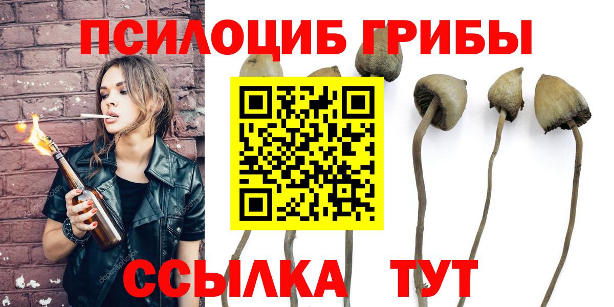 Псилоцибиновые грибы ЛСД  Галлюциногенные грибы прущие грибы  Урус-Мартан  Вход с VPN 